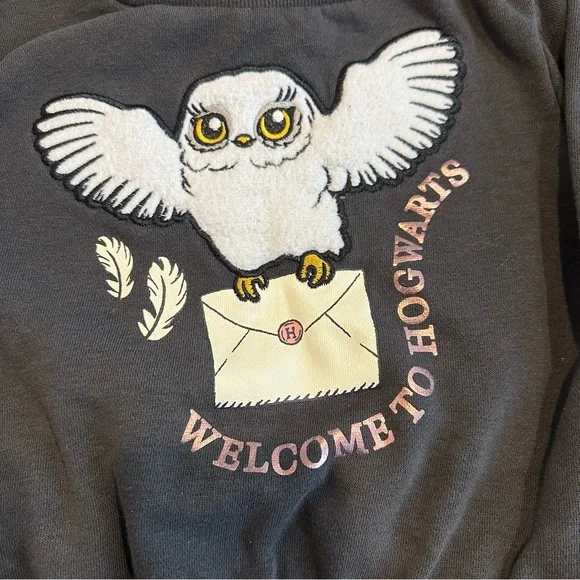 Harry Potter x H&M Hogwarts Hedwig Sweater 2T - Picture 3 of 5